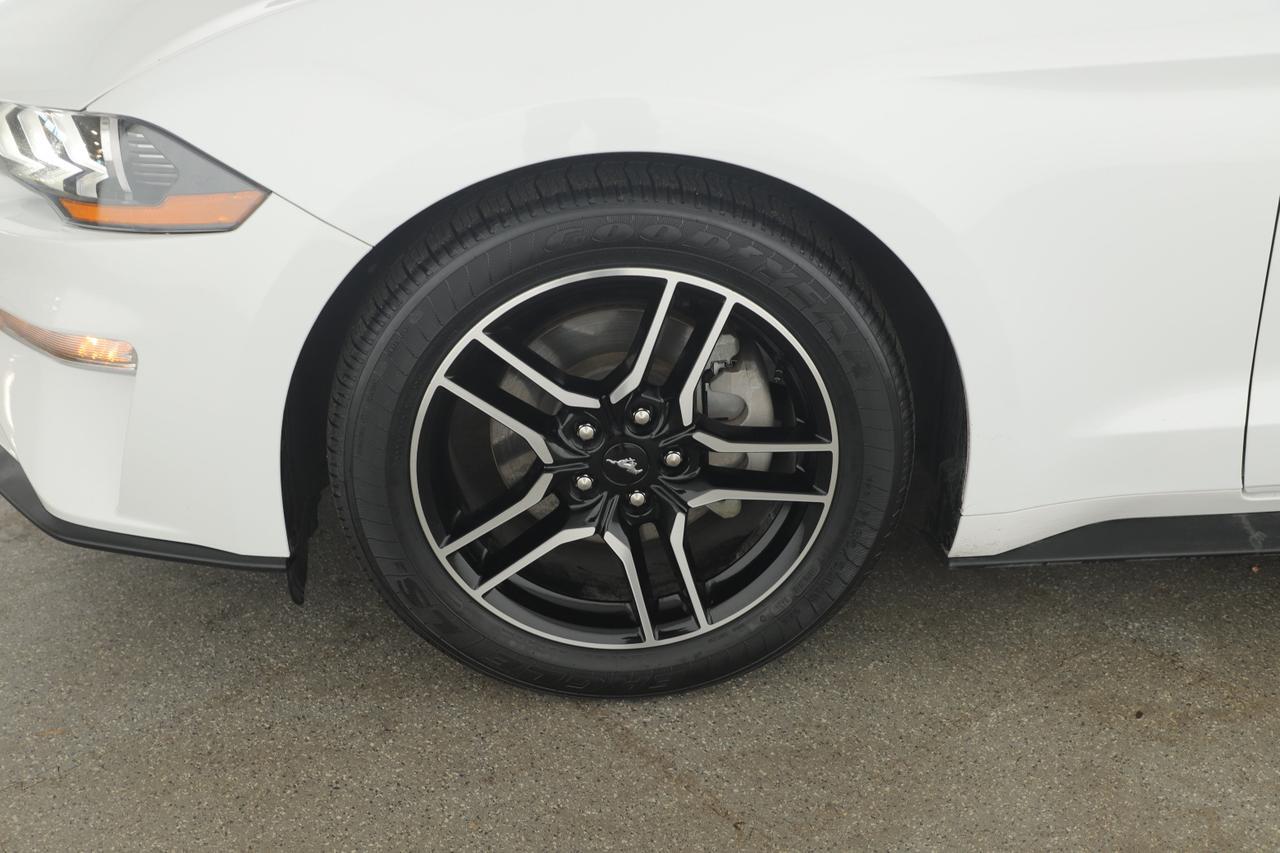 2023 Ford Mustang EcoBoost New Braunfels TX