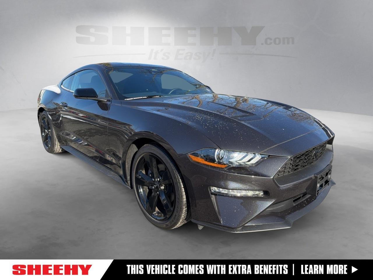 2023 Ford Mustang EcoBoost Gaithersburg MD