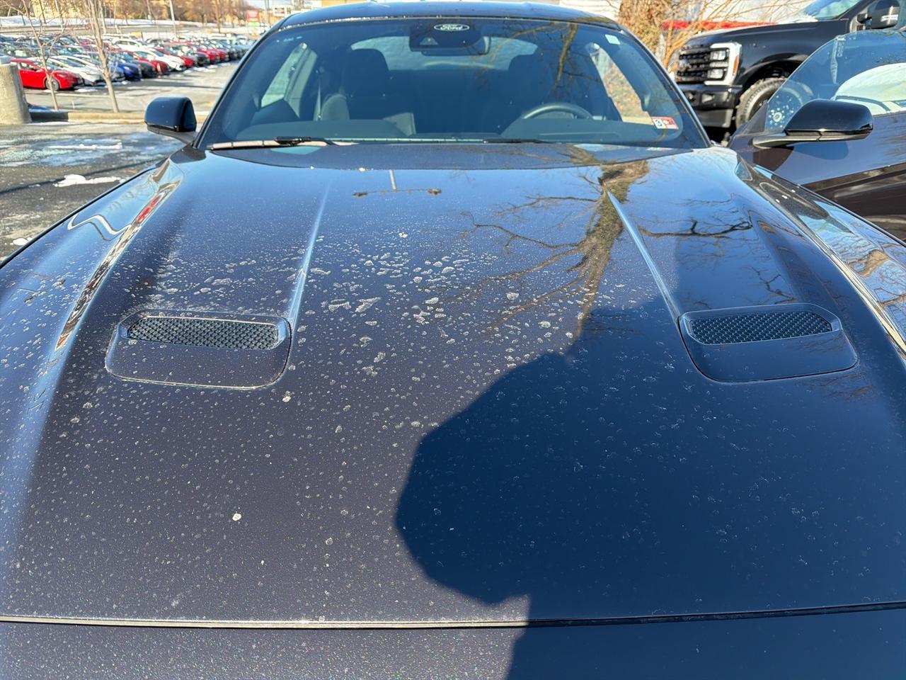 2023 Ford Mustang EcoBoost Gaithersburg MD