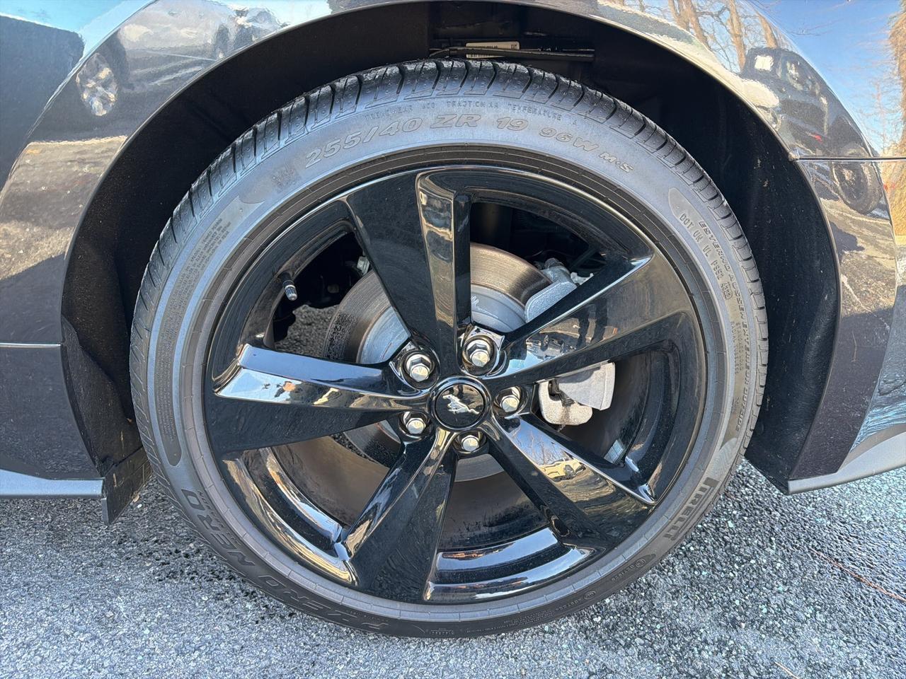 2023 Ford Mustang EcoBoost Gaithersburg MD