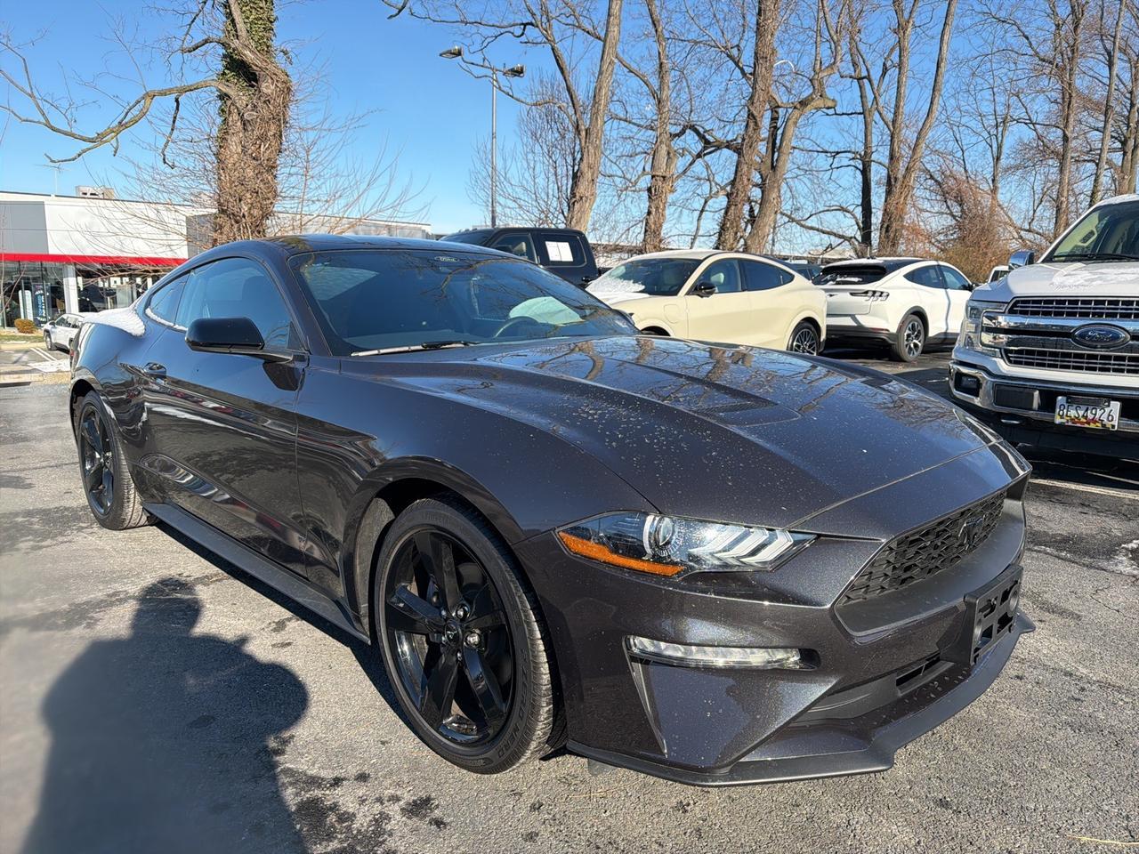 2023 Ford Mustang EcoBoost