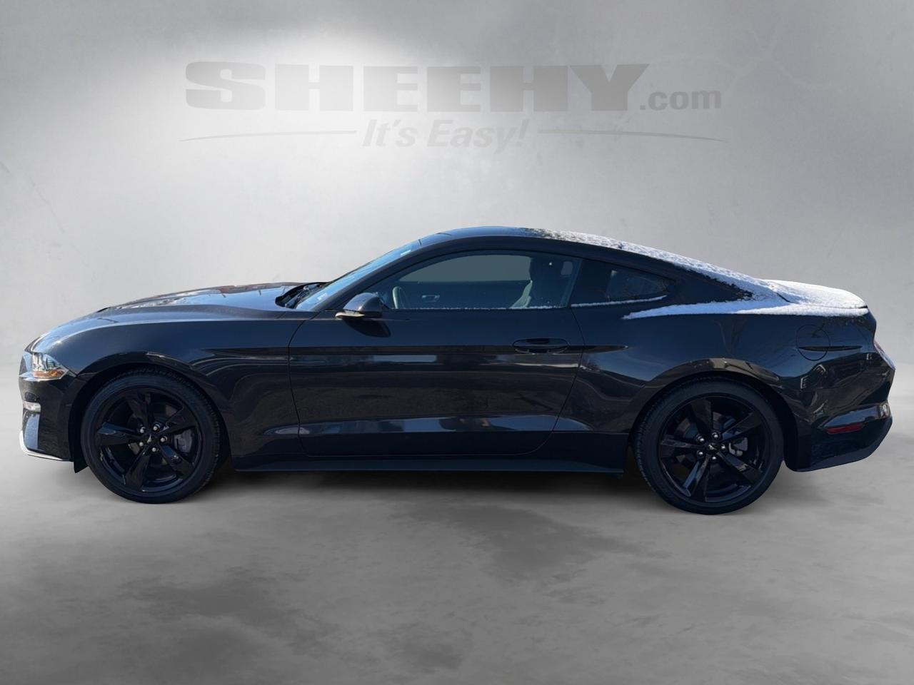 2023 Ford Mustang EcoBoost Gaithersburg MD