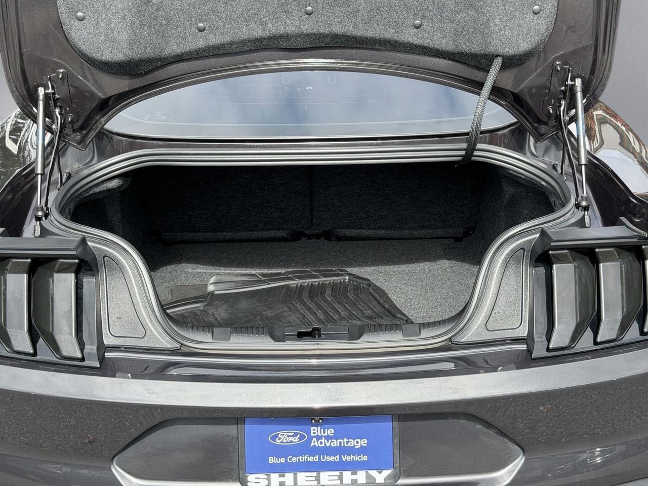 2023 Ford Mustang EcoBoost Springfield VA