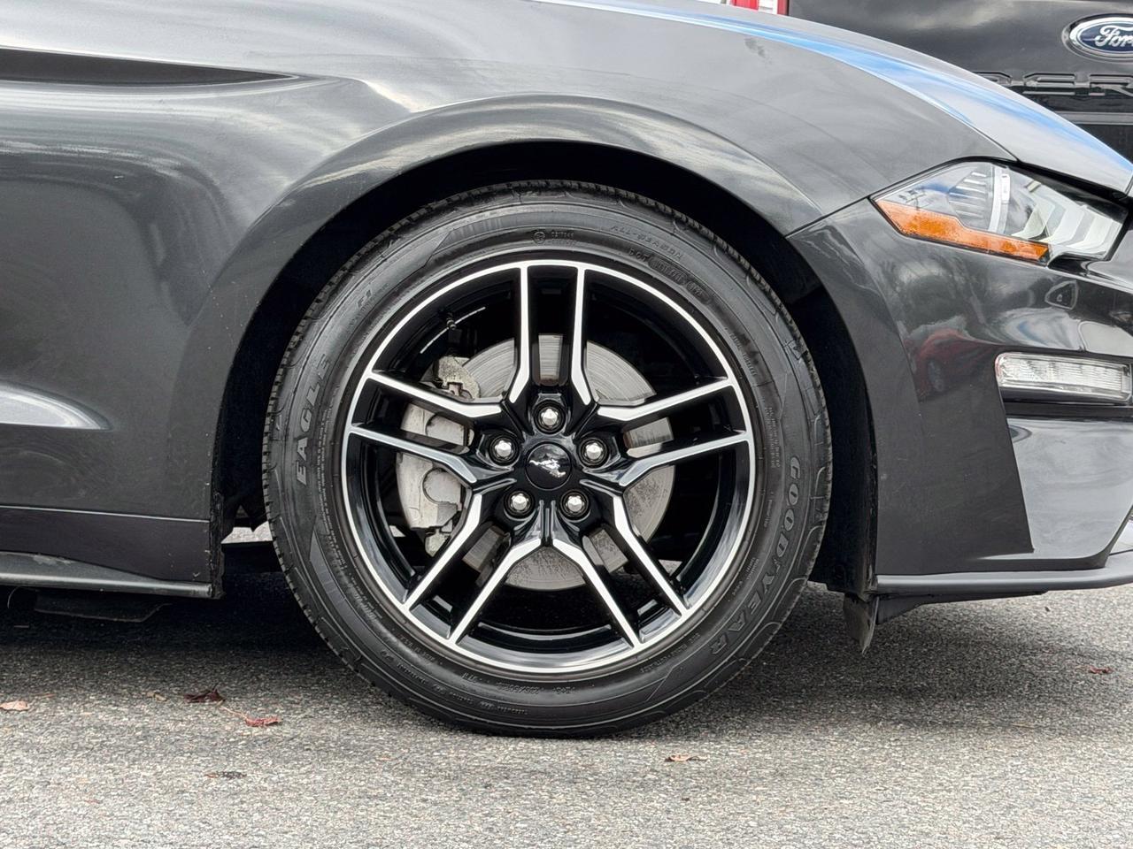 2023 Ford Mustang EcoBoost Springfield VA