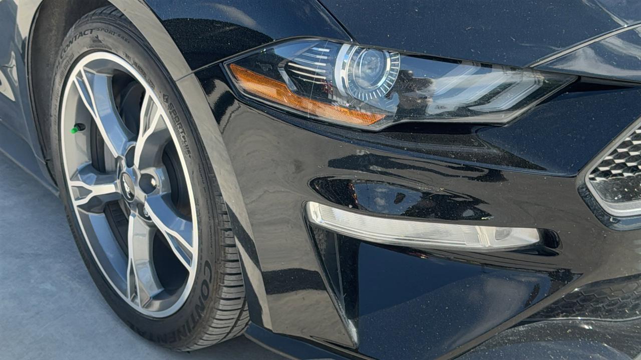 2023 Ford Mustang GT Premium New Braunfels TX