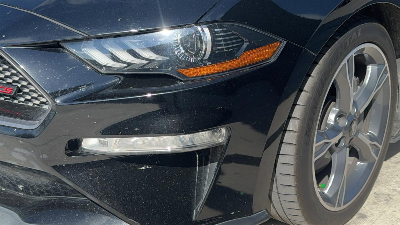 2023 Ford Mustang GT Premium New Braunfels TX