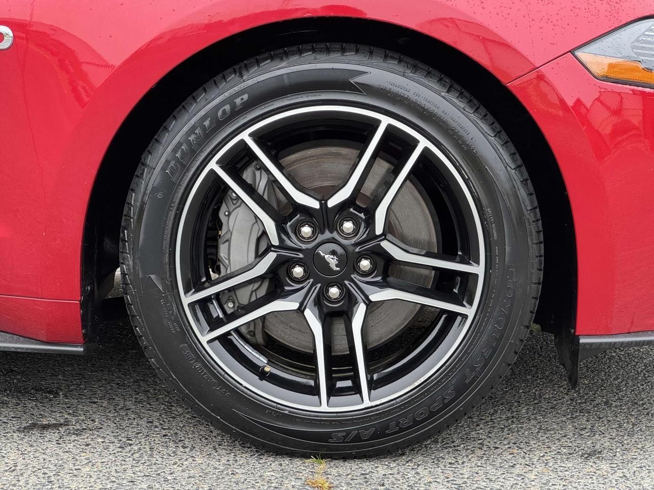 2023 Ford Mustang GT Premium Richmond VA