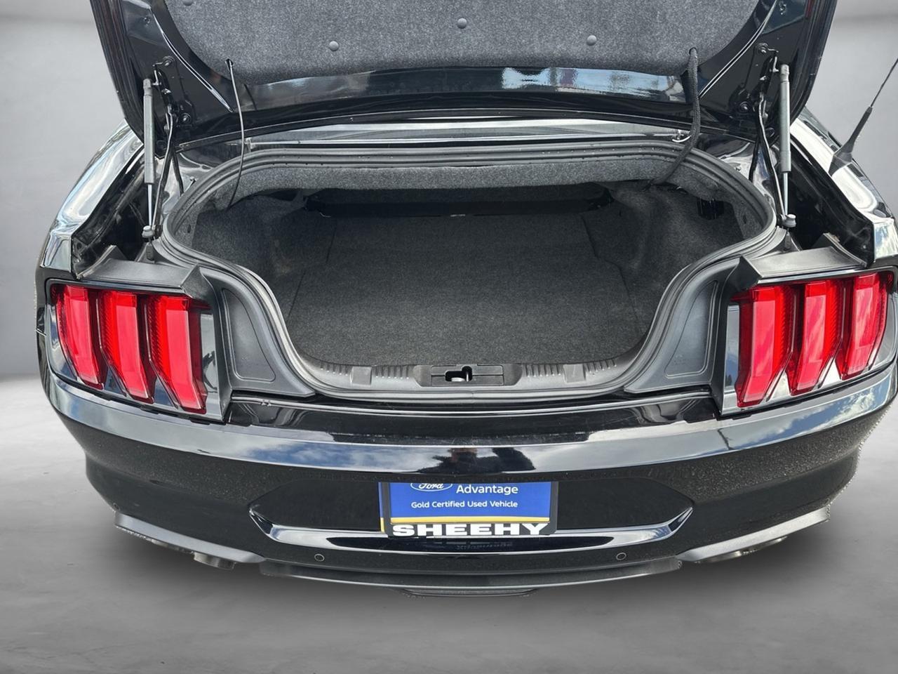 2023 Ford Mustang GT Premium Springfield VA