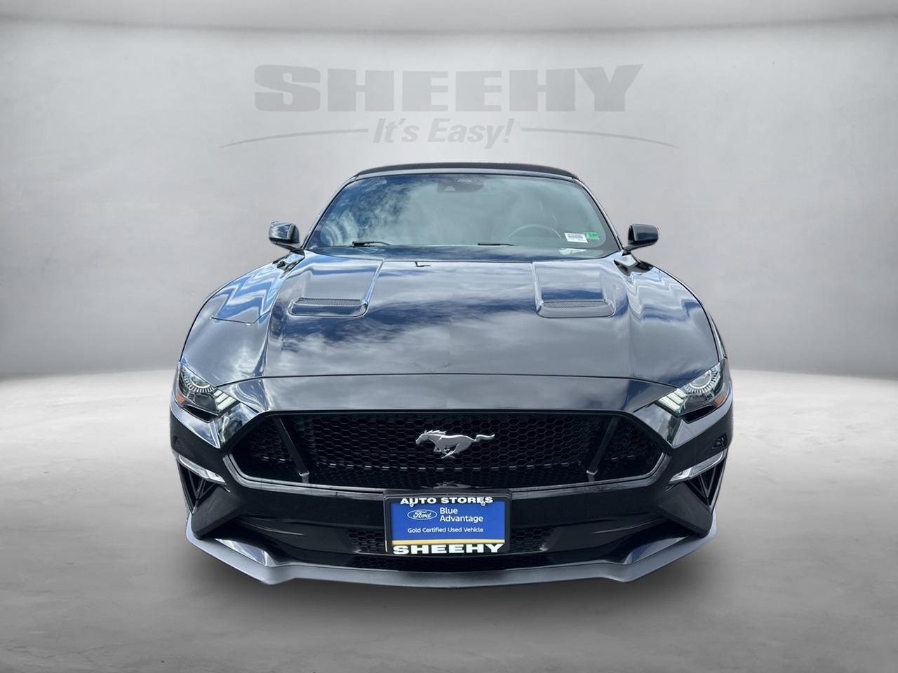 2023 Ford Mustang GT Premium Springfield VA