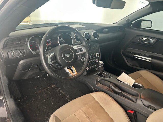 2023 Ford Mustang I4CP New Braunfels TX