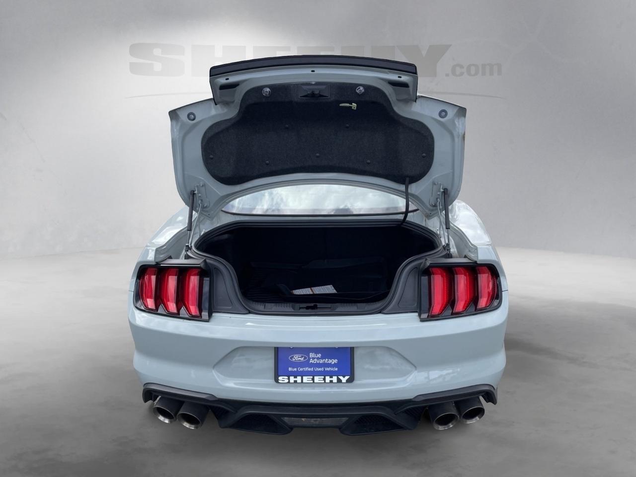 2023 Ford Mustang Mach 1 Springfield VA