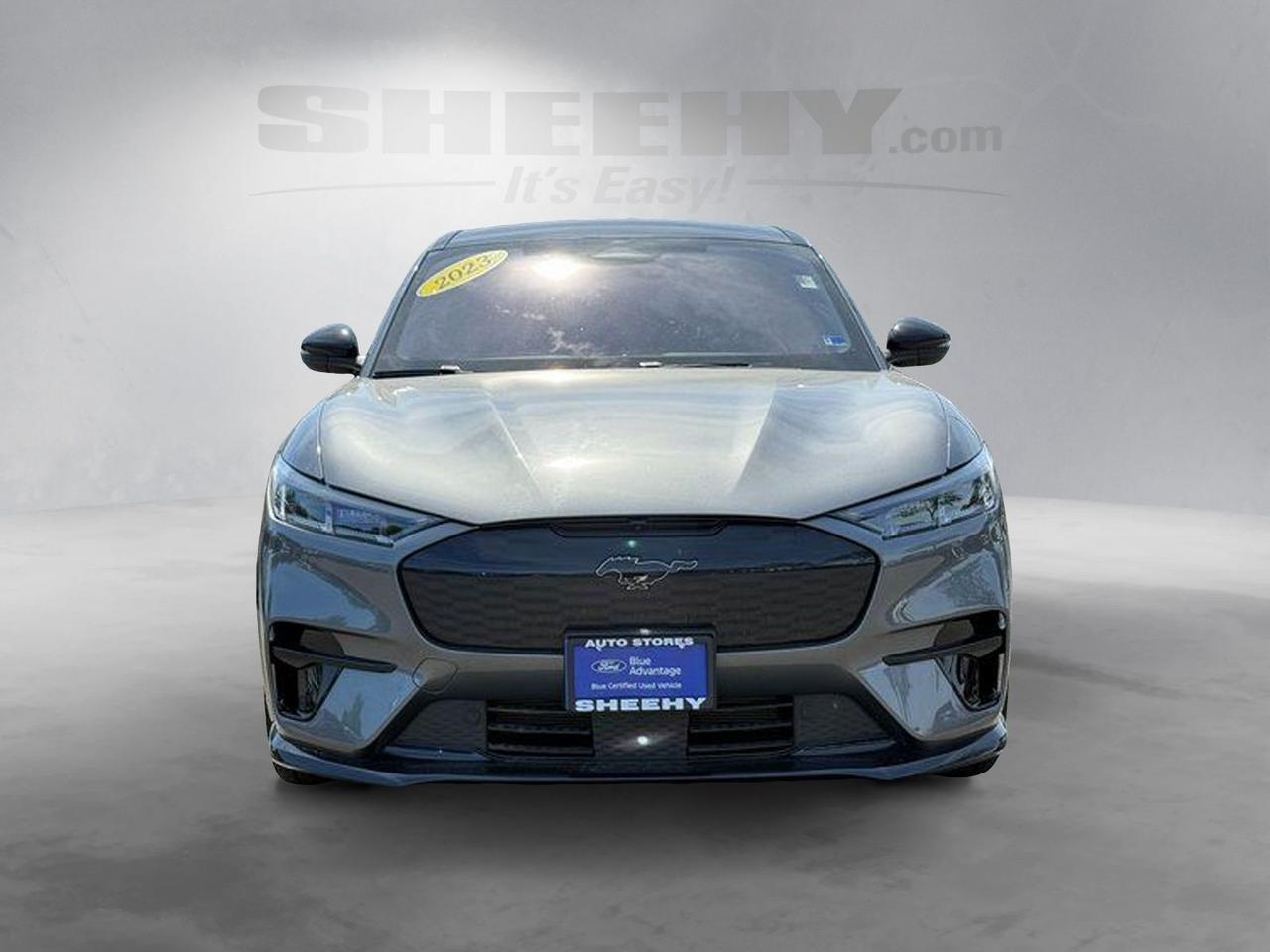 2023 Ford Mustang Mach-E GT Springfield VA