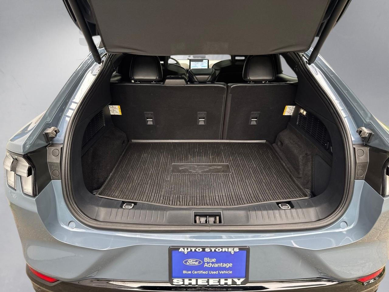 2023 Ford Mustang Mach-E GT Warrenton VA