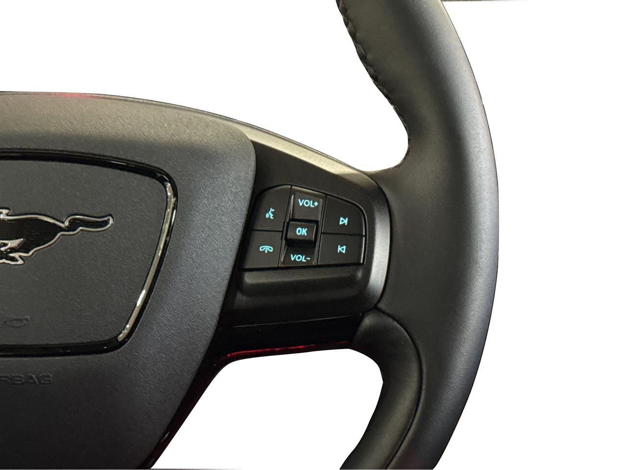 2023 Ford Mustang Mach-E Premium / ONE OWNER / NO ACCIDENT/CLEAN CARFAX Richmond Hill ON