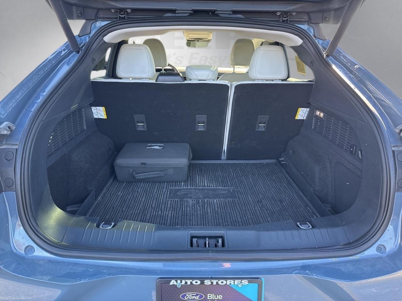 2023 Ford Mustang Mach-E Premium Richmond VA