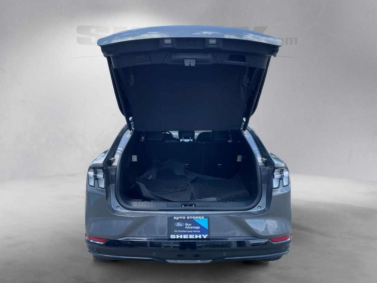 2023 Ford Mustang Mach-E Premium Springfield VA