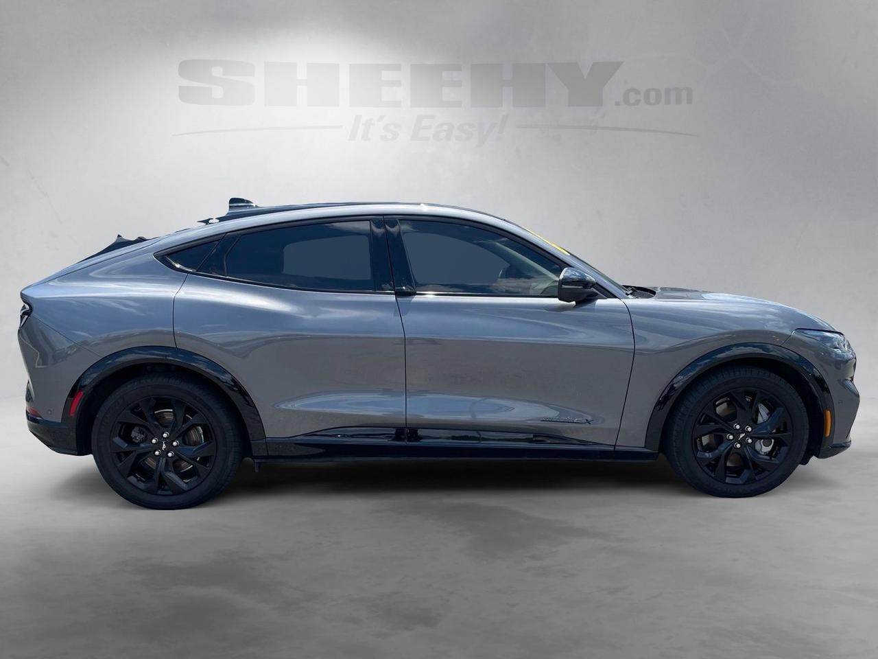 2023 Ford Mustang Mach-E Premium Springfield VA