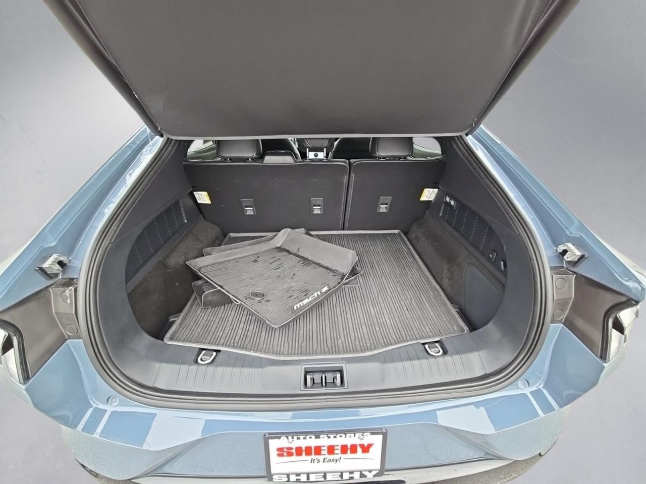 2023 Ford Mustang Mach-E Premium Glen Burnie MD