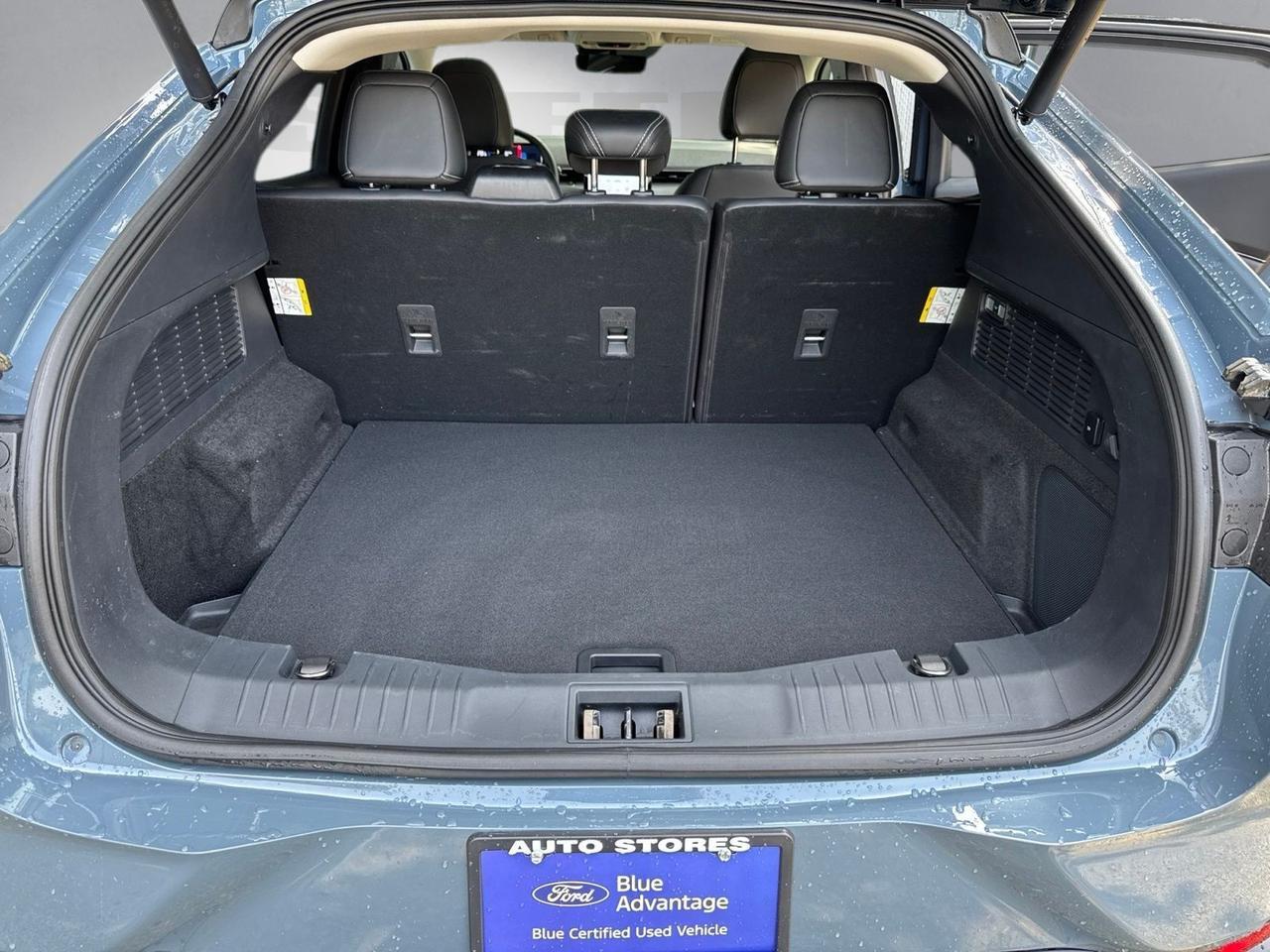 2023 Ford Mustang Mach-E Premium Warrenton VA