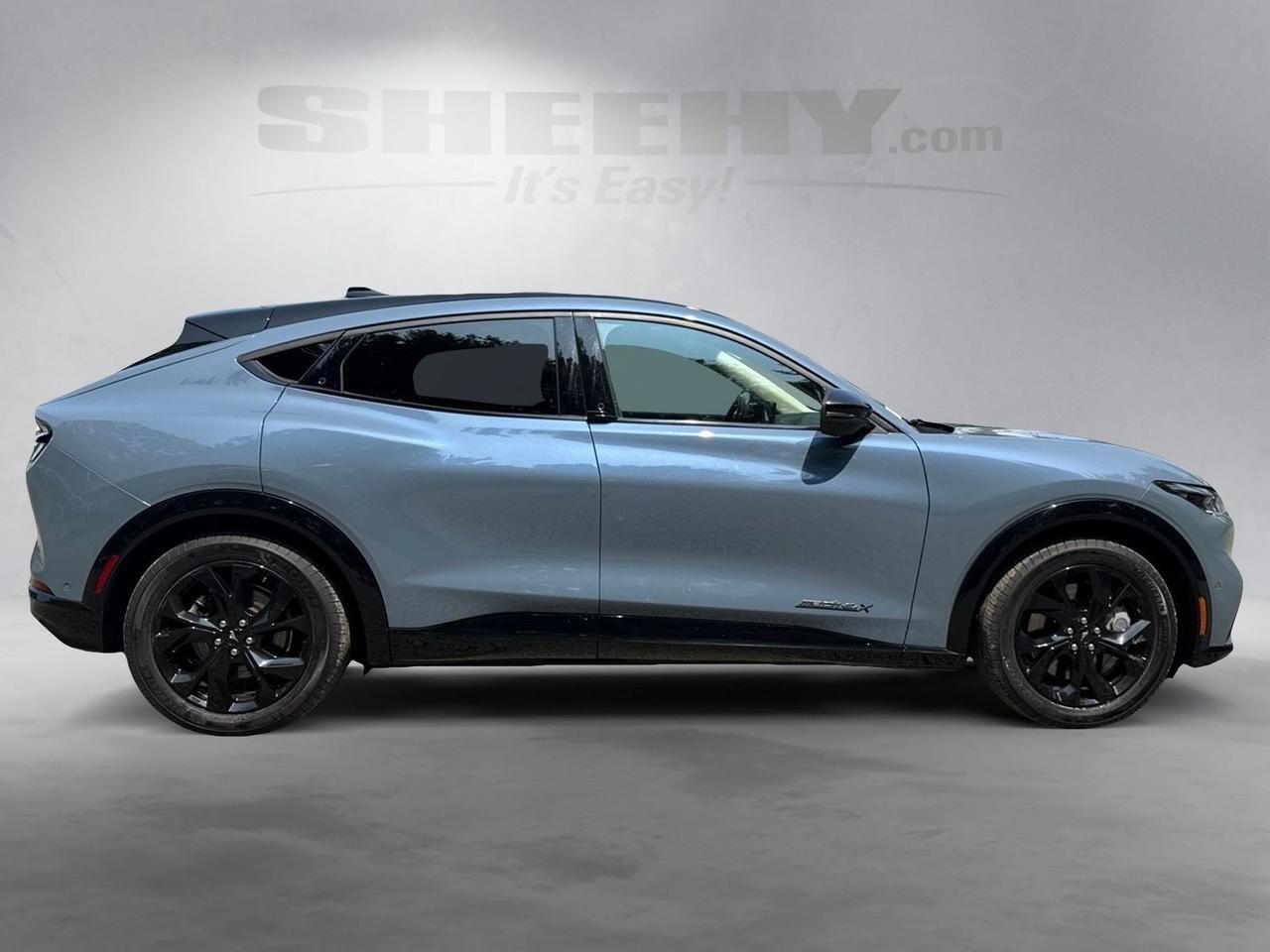 2023 Ford Mustang Mach-E Premium Warrenton VA