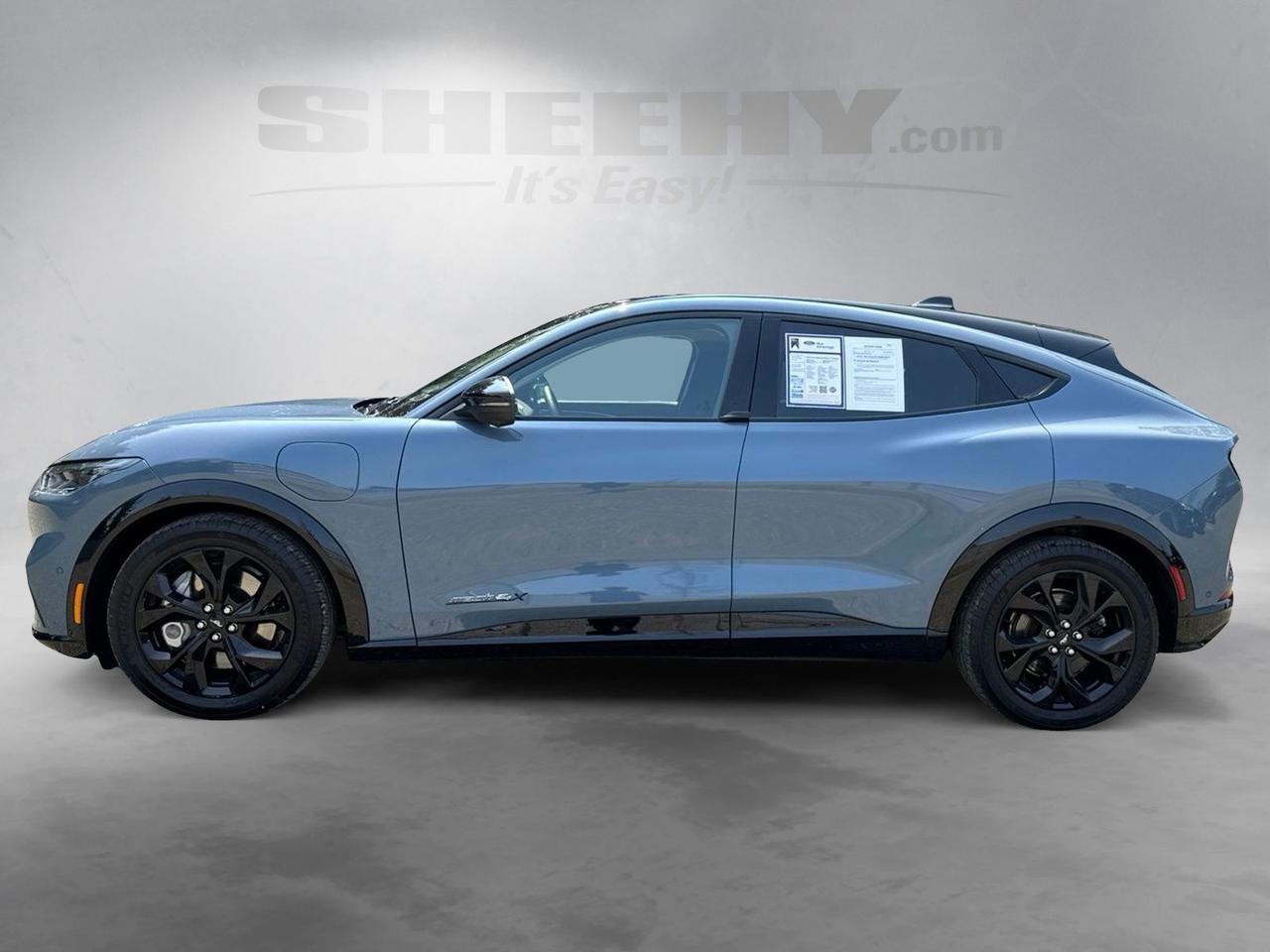 2023 Ford Mustang Mach-E Premium Warrenton VA