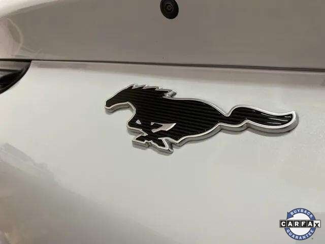 2023 Ford Mustang Mach-E Select Dallas TX
