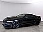 2023 Ford Mustang SHELBY SUPER SNAKE Oshkosh WI