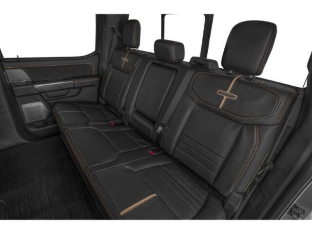 2023 Ford Super Duty F-250 SRW Platinum Winder GA
