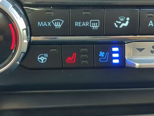 2023 Ford Super Duty F-250 SRW Platinum Winder GA