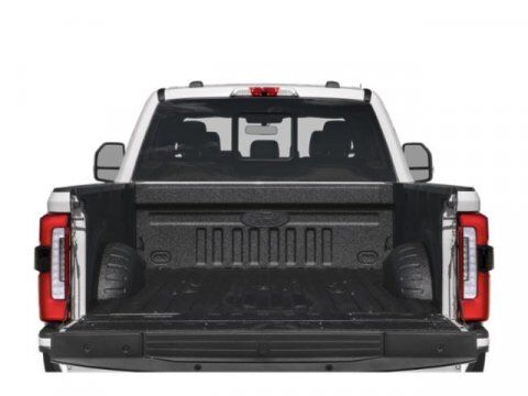 2023 Ford Super Duty F-350 DRW Platinum Winder GA