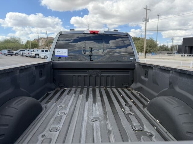 2023 Ford Super Duty F-350 SRW Platinum  TX