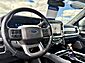 2023 Ford Super Duty F-350 SRW Platinum  TX