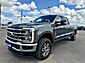 2023 Ford Super Duty F-350 SRW Platinum  TX