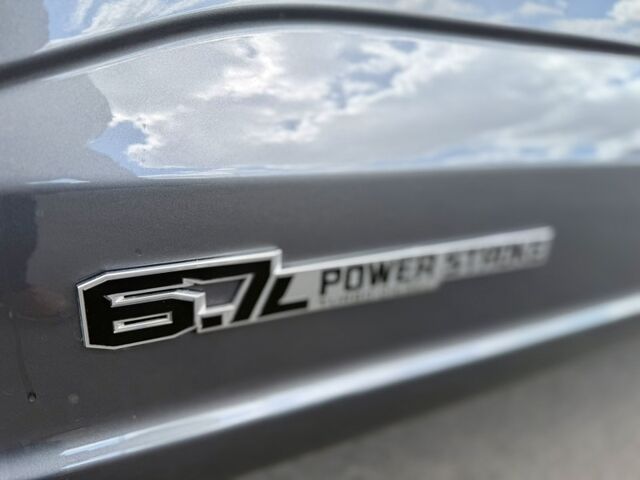 2023 Ford Super Duty F-350 SRW Platinum  TX