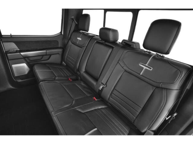 2023 Ford Super Duty F-350 SRW Platinum Winder GA