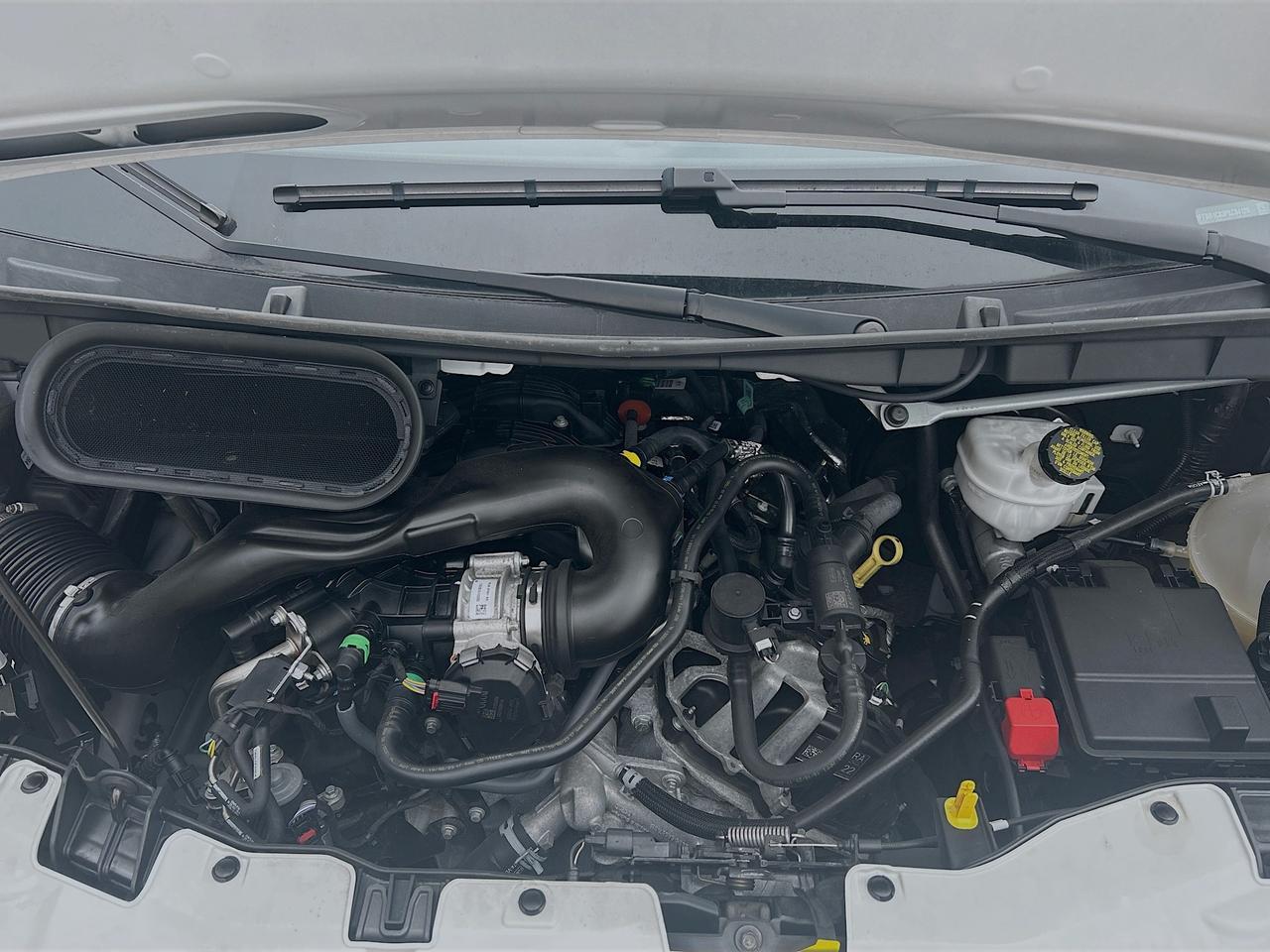 2023 Ford Transit Cargo Van T-250 Med Rf 9070 GVWR RWD Venice FL