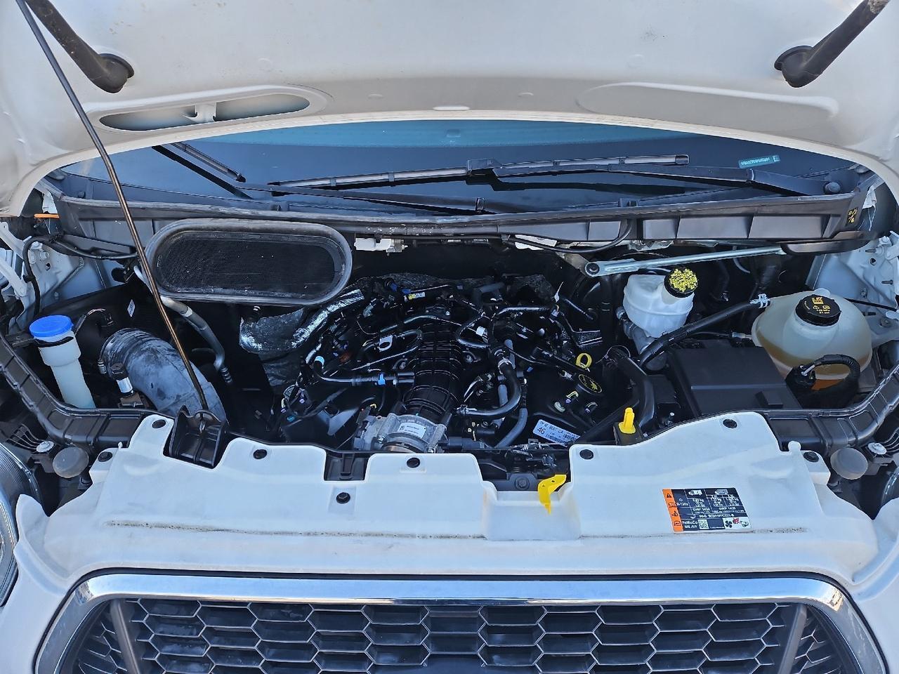 2023 Ford Transit Passenger Wagon XLT Grand Junction CO