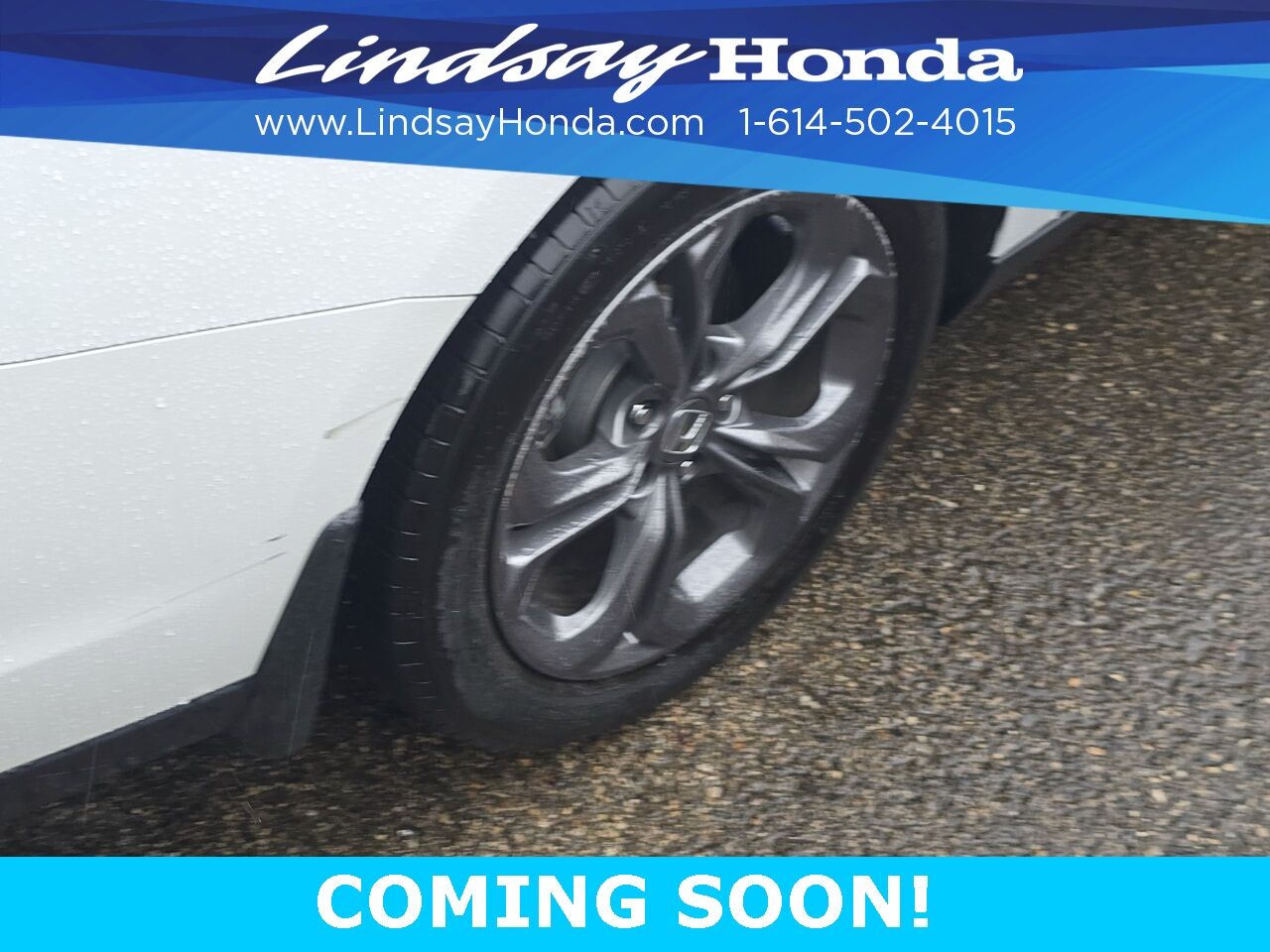 2023 Honda Accord EX Columbus OH