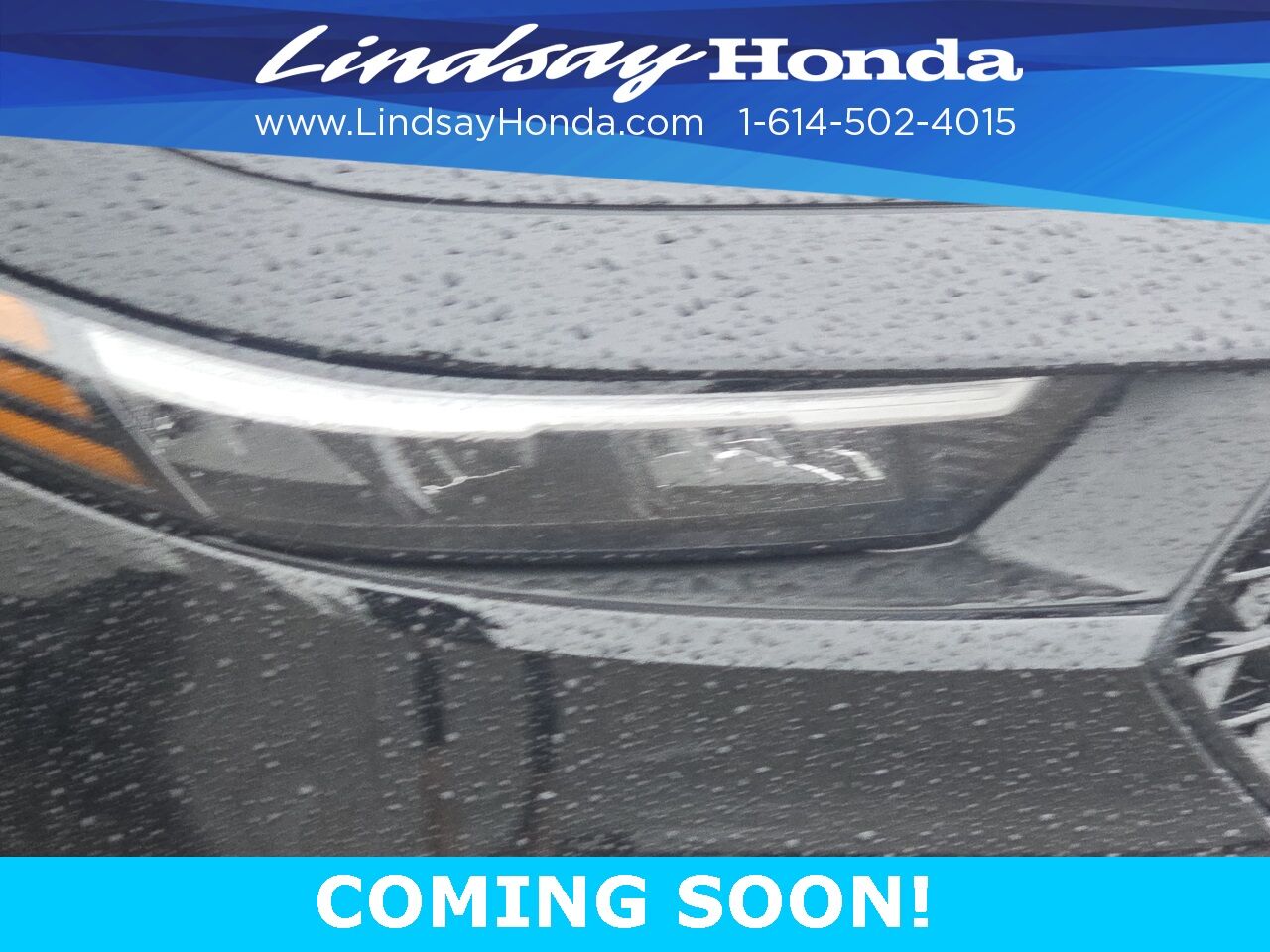2023 Honda Accord Hybrid Sport-L Columbus OH