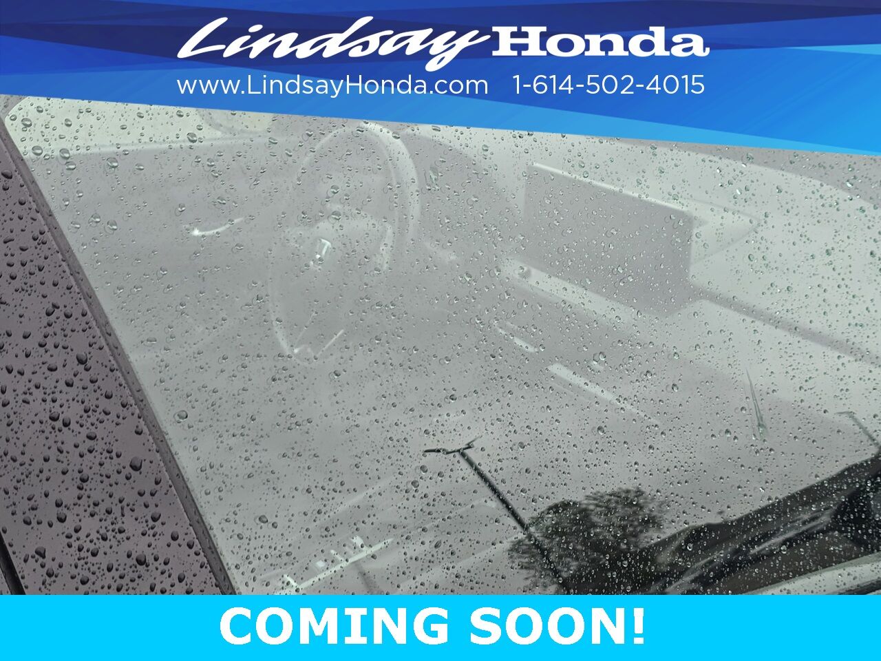 2023 Honda Accord Hybrid Sport-L Columbus OH