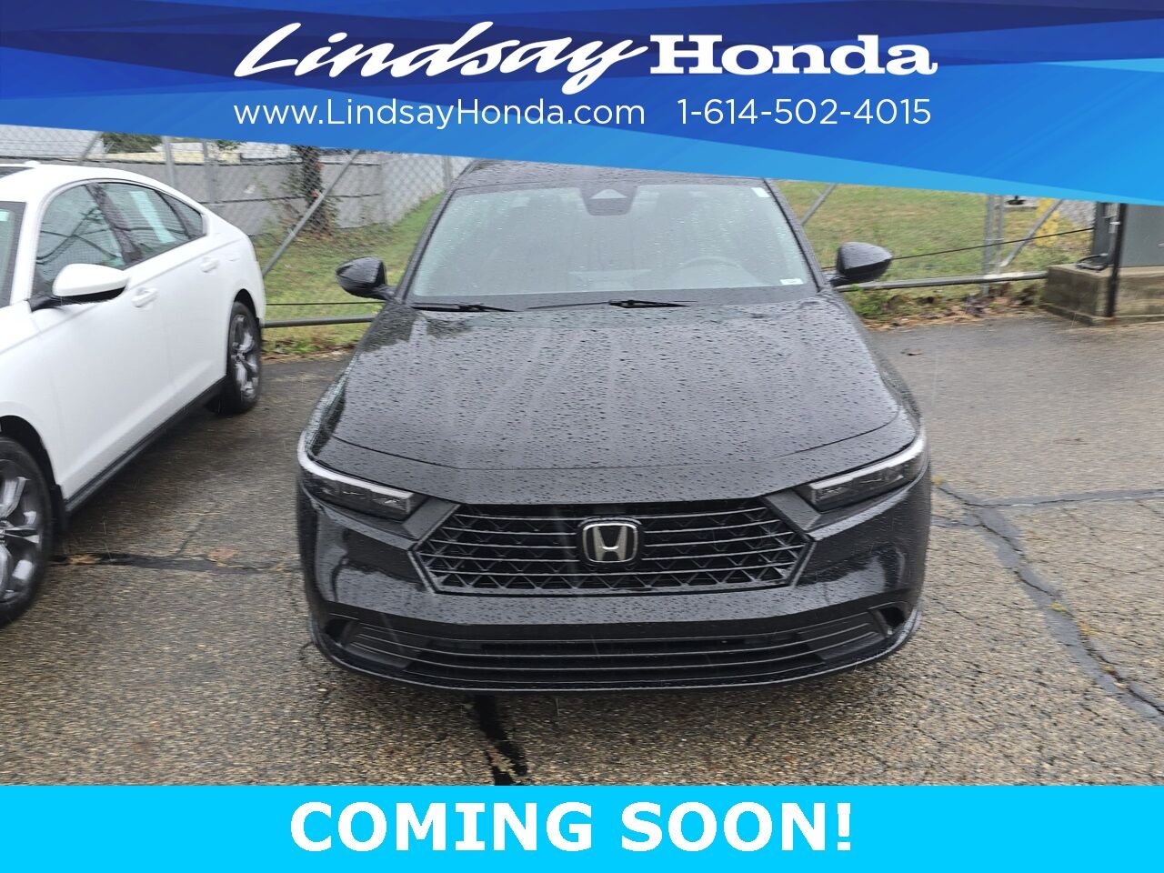 2023 Honda Accord Hybrid Sport-L Columbus OH