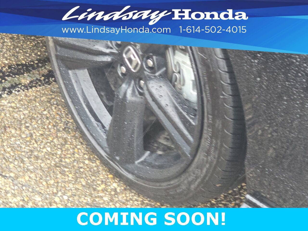 2023 Honda Accord Hybrid Sport-L Columbus OH