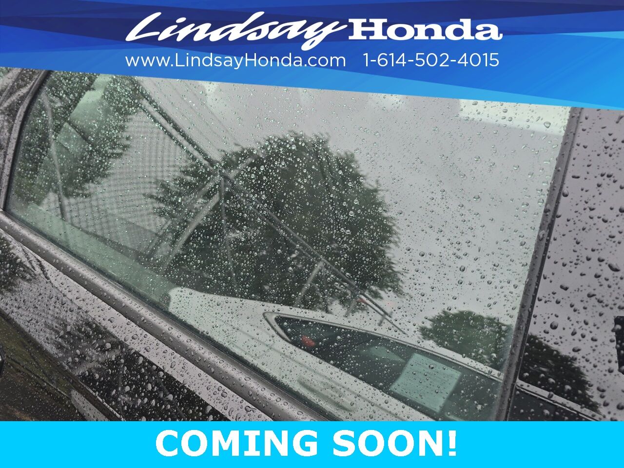 2023 Honda Accord Hybrid Sport-L Columbus OH