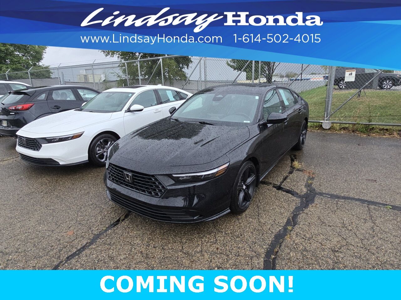 2023 Honda Accord Hybrid Sport-L Columbus OH