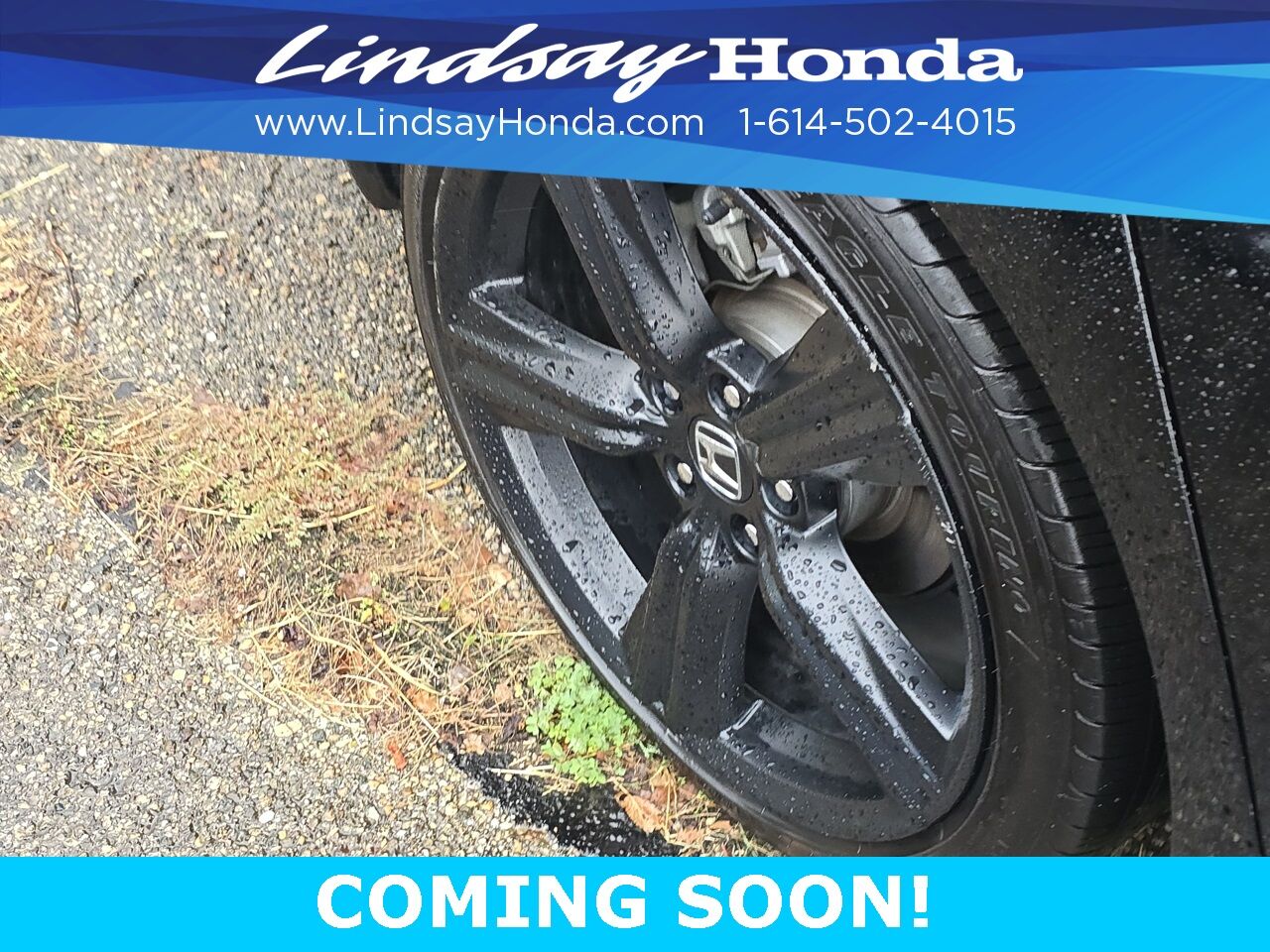 2023 Honda Accord Hybrid Sport-L Columbus OH