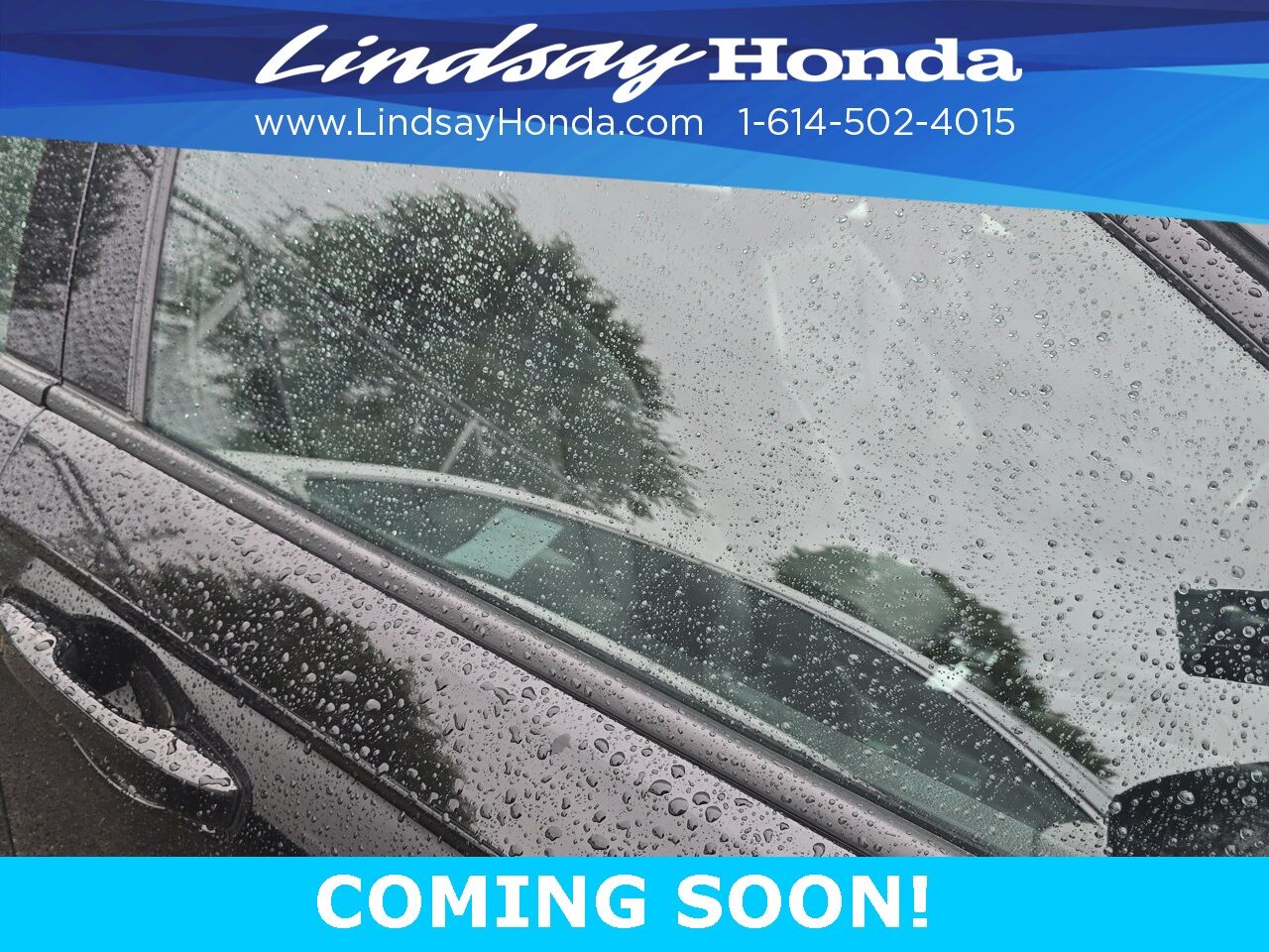 2023 Honda Accord Hybrid Sport-L Columbus OH