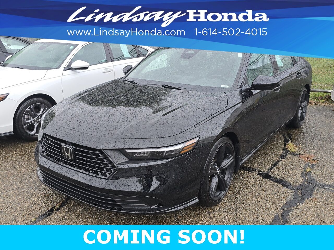 2023 Honda Accord Hybrid Sport-L Columbus OH