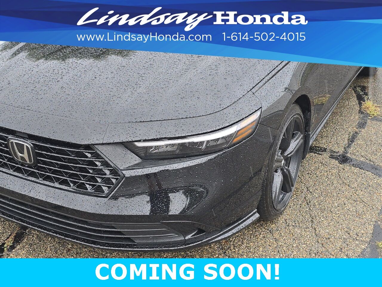 2023 Honda Accord Hybrid Sport-L Columbus OH