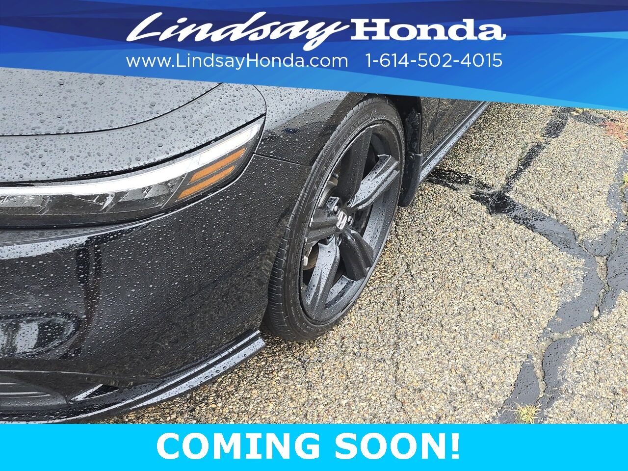 2023 Honda Accord Hybrid Sport-L Columbus OH