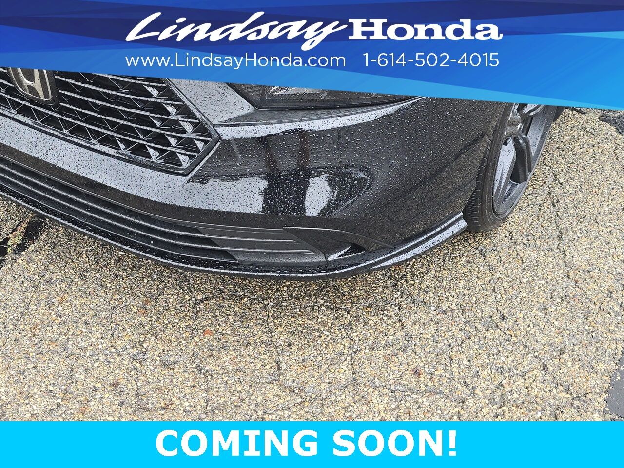 2023 Honda Accord Hybrid Sport-L Columbus OH
